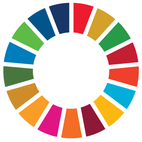 Several SDGs