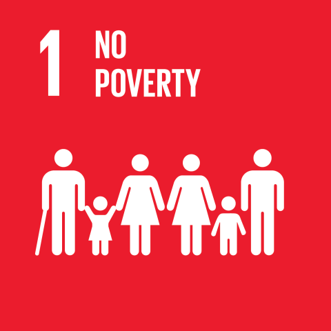 SDG : No poverty