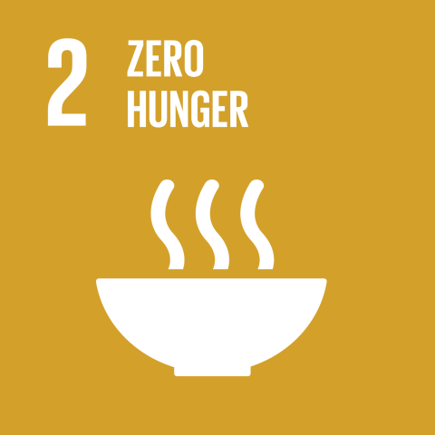 SDG : zero hunger