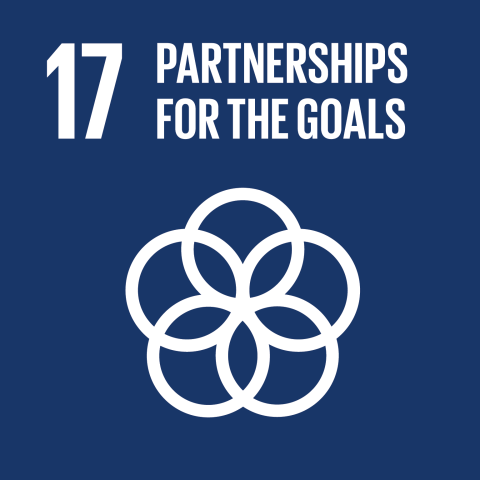 SDG : Partnerships