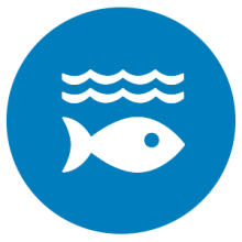 SDG 14: Life Below Water